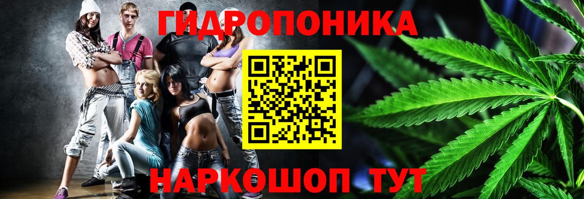 Каннабис семена Соль-Илецк